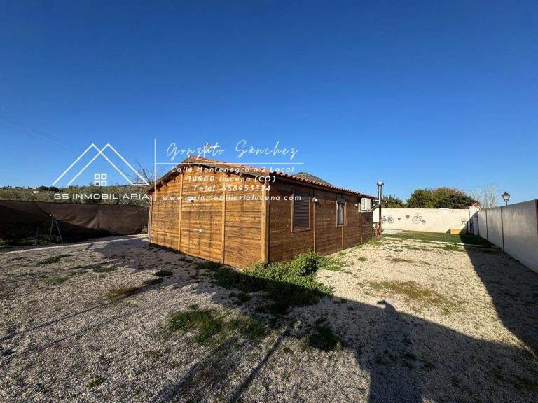 WhatsApp20Image202025-02-0520at2017.15.39