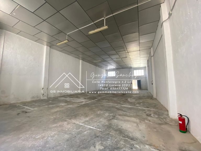 WhatsApp20Image202025-04-2520at2011.11.42