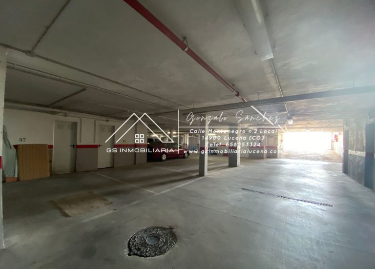 WhatsApp20Image202024-05-0820at2017.54.41