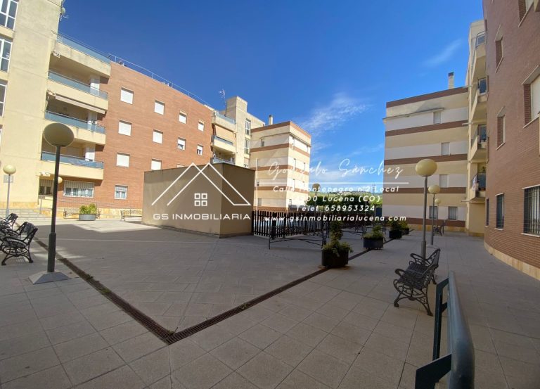 WhatsApp20Image202024-05-0820at2017.54.412028129