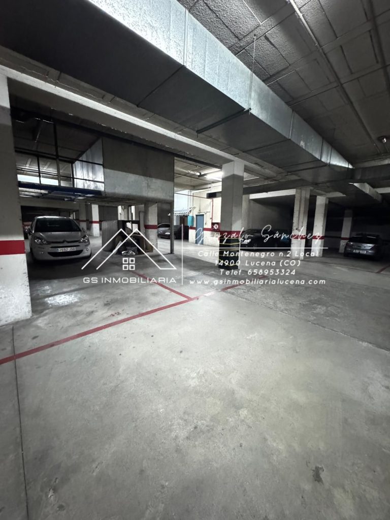 WhatsApp20Image202026-01-1420at2012.24.252028129