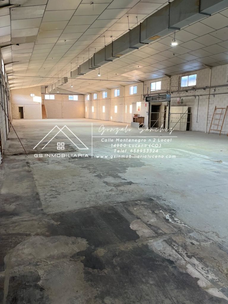 WhatsApp20Image202026-01-1520at2013.06.372028229