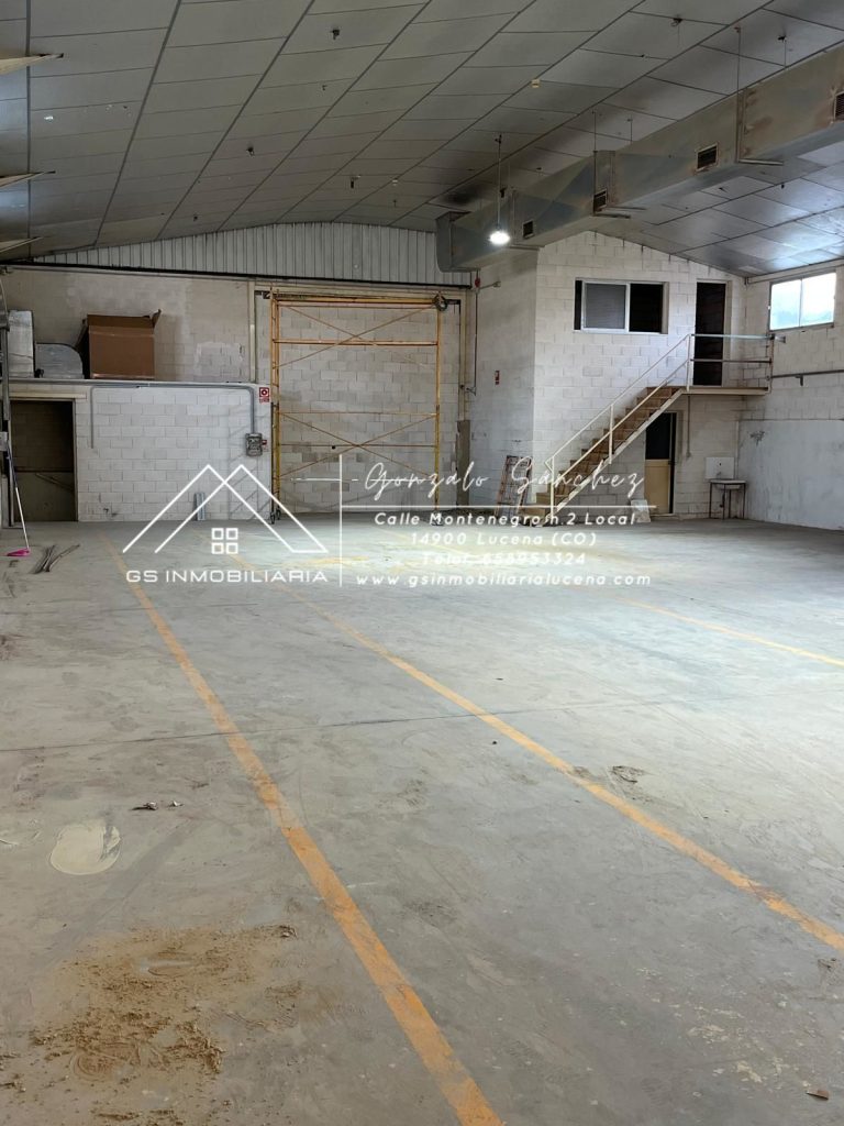 WhatsApp20Image202026-01-1520at2013.06.38