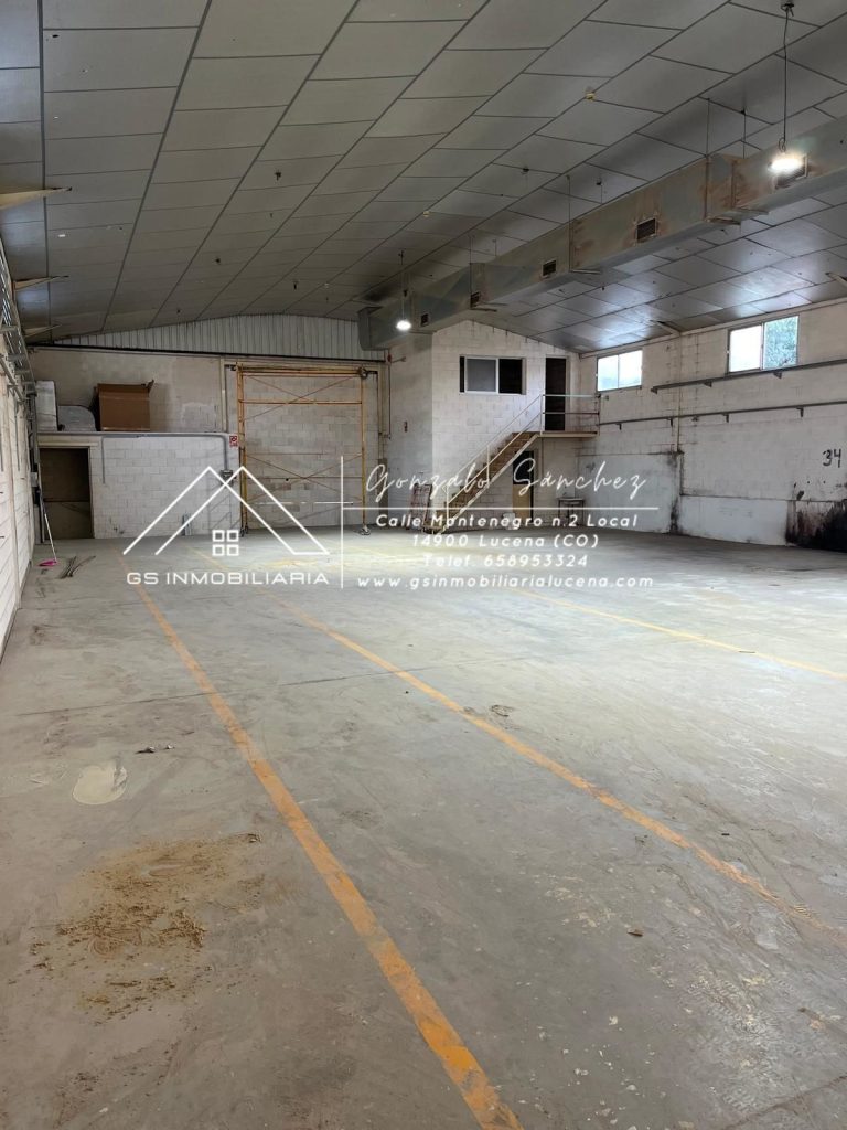 WhatsApp20Image202026-01-1520at2013.06.382028129