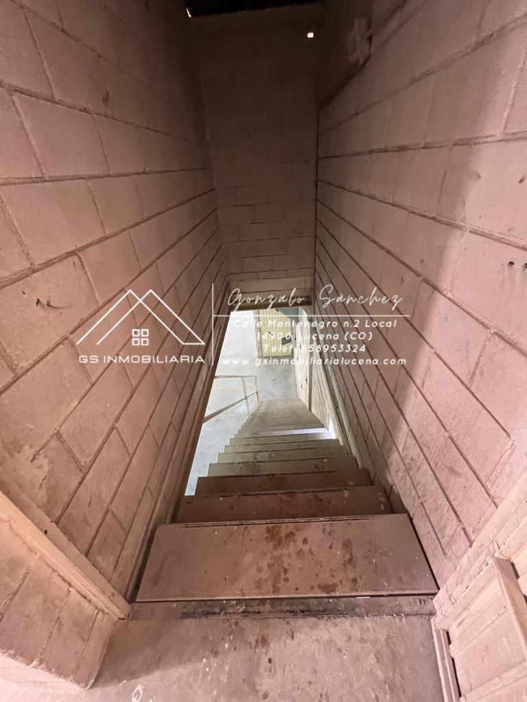 WhatsApp20Image202026-01-1520at2013.06.392028129