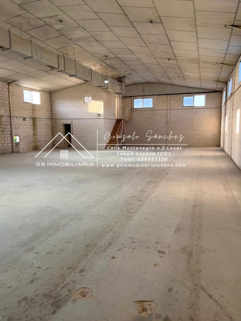 WhatsApp20Image202026-01-1520at2013.06.392028229