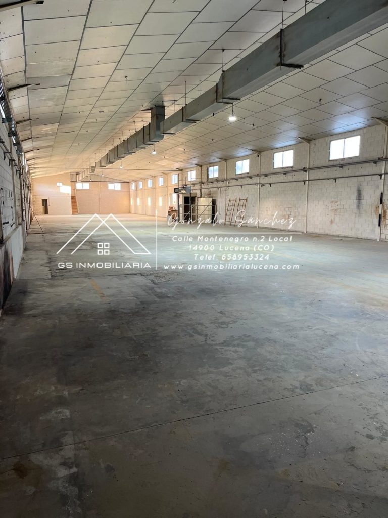 WhatsApp20Image202026-01-1520at2013.06.44