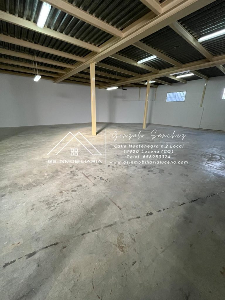 WhatsApp20Image202026-01-1520at2013.07.042028229