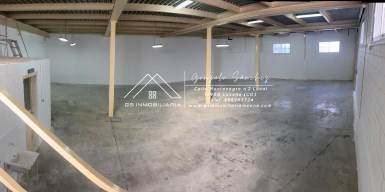 WhatsApp20Image202026-01-1520at2013.07.052028129