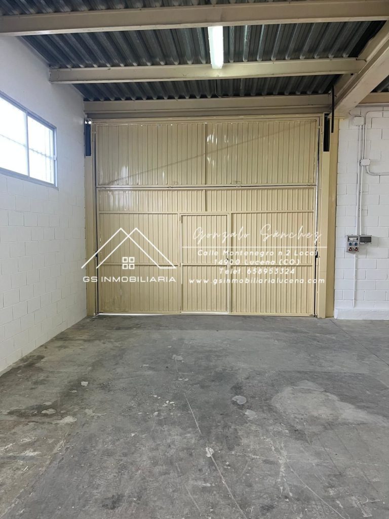 WhatsApp20Image202026-01-1520at2013.07.072028129