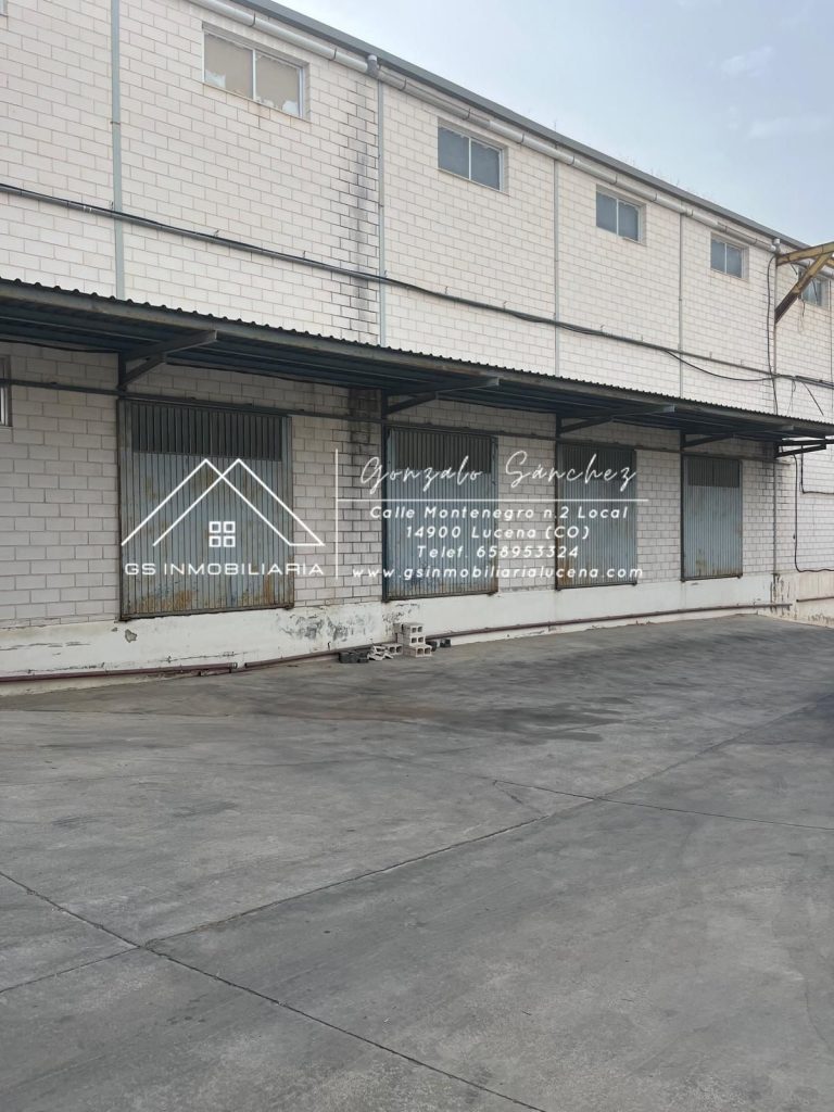 WhatsApp20Image202026-01-1520at2013.07.09