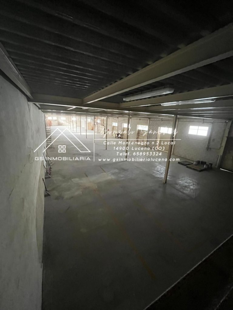 WhatsApp20Image202026-01-1520at2013.07.092028129