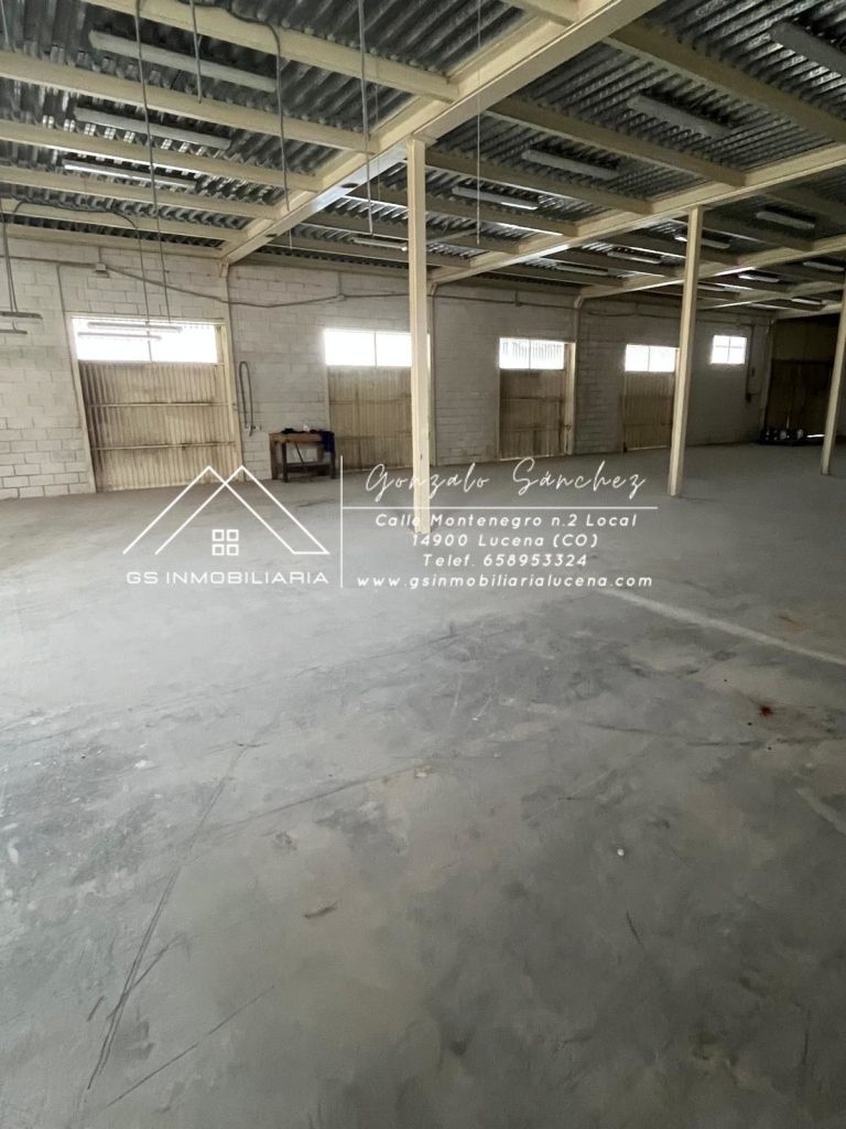 WhatsApp20Image202026-01-1520at2013.07.10