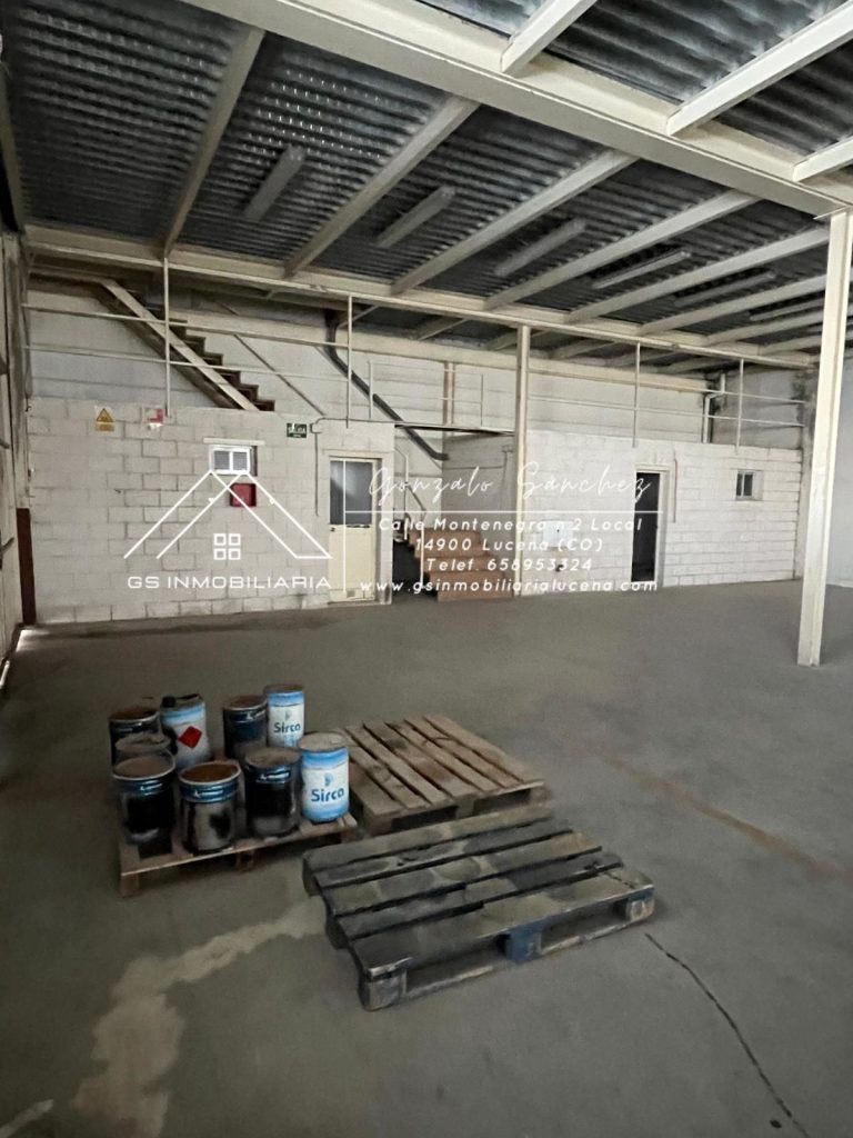 WhatsApp20Image202026-01-1520at2013.07.112028129