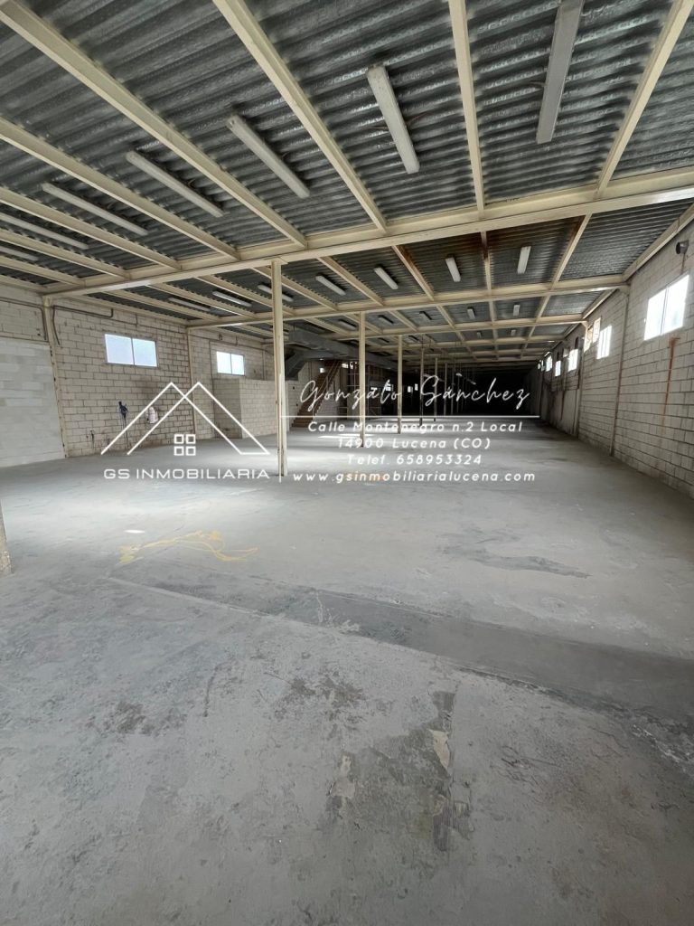 WhatsApp20Image202026-01-1520at2013.07.12