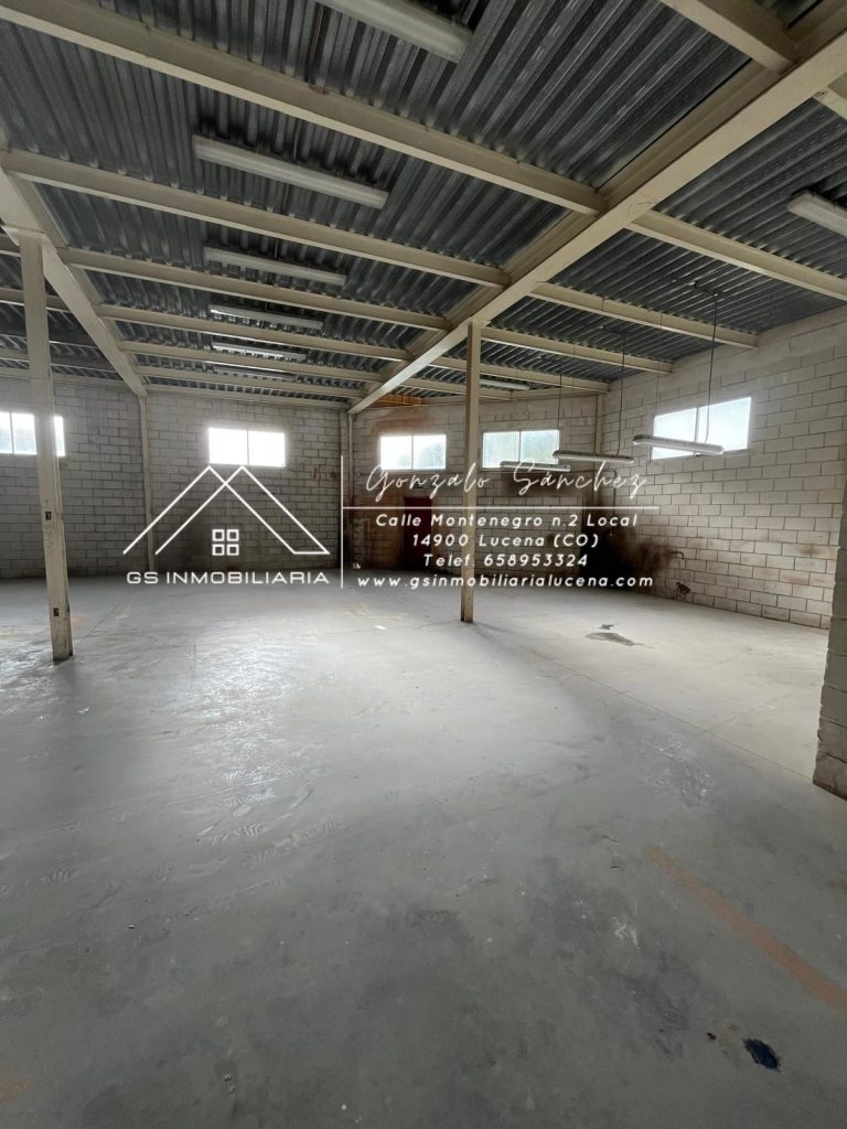 WhatsApp20Image202026-01-1520at2013.07.122028129