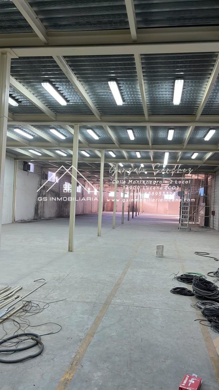 WhatsApp20Image202026-01-1520at2013.07.13