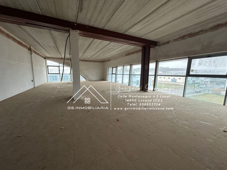 WhatsApp20Image202026-01-1620at2010.26.42