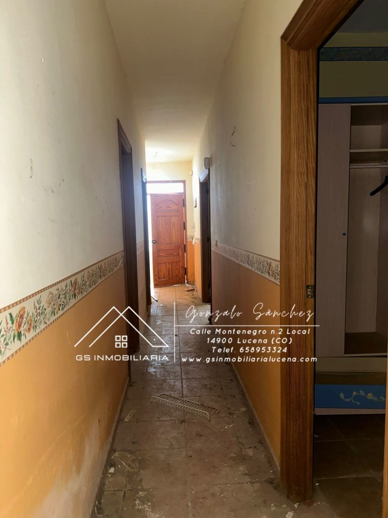 WhatsApp20Image202026-01-1620at2010.27.10