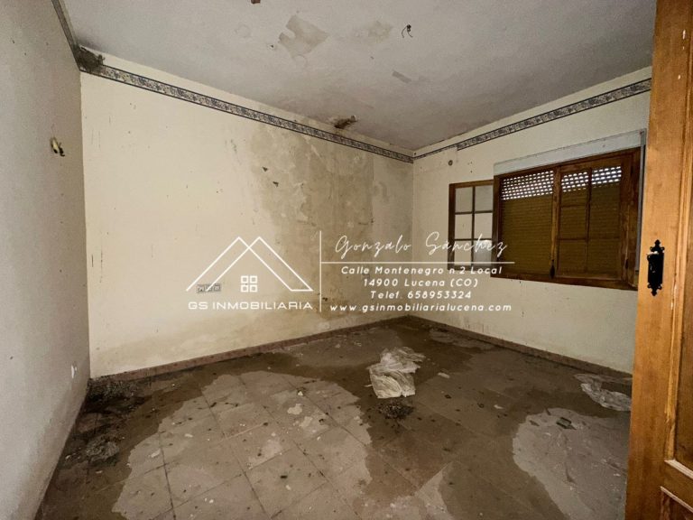 WhatsApp20Image202026-01-1620at2010.27.102028329