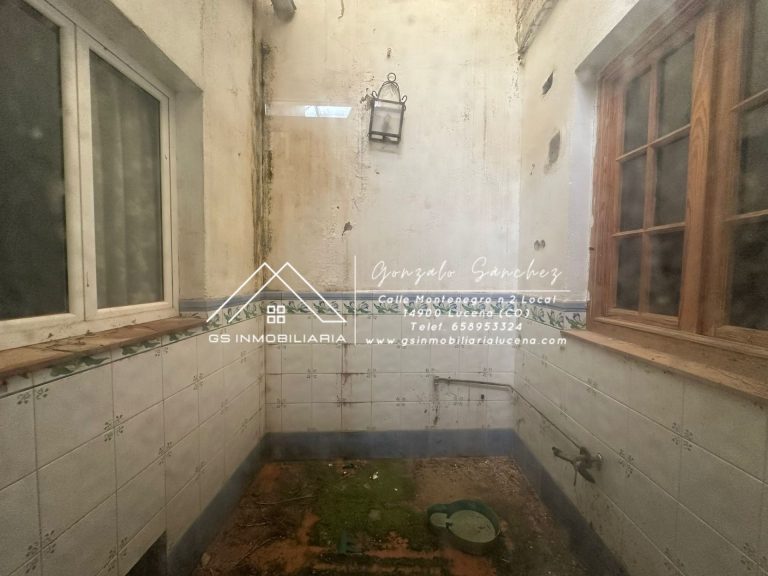 WhatsApp20Image202026-01-1620at2010.27.112028229