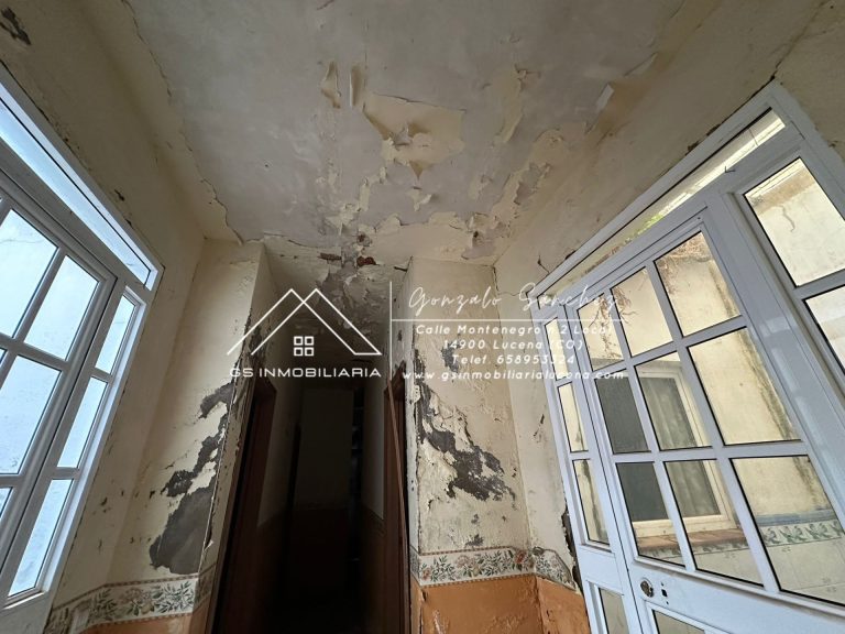 WhatsApp20Image202026-01-1620at2010.27.12