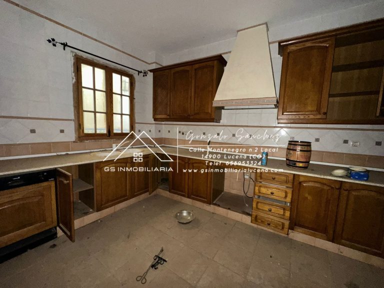 WhatsApp20Image202026-01-1620at2010.27.122028229