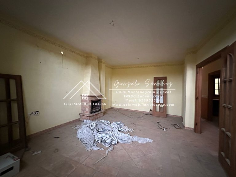 WhatsApp20Image202026-01-1620at2010.27.132028129