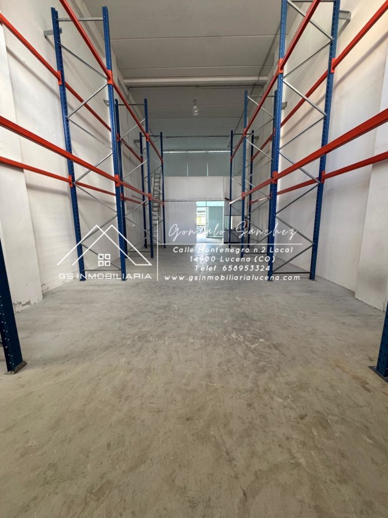 WhatsApp20Image202026-01-2020at2016.59.37