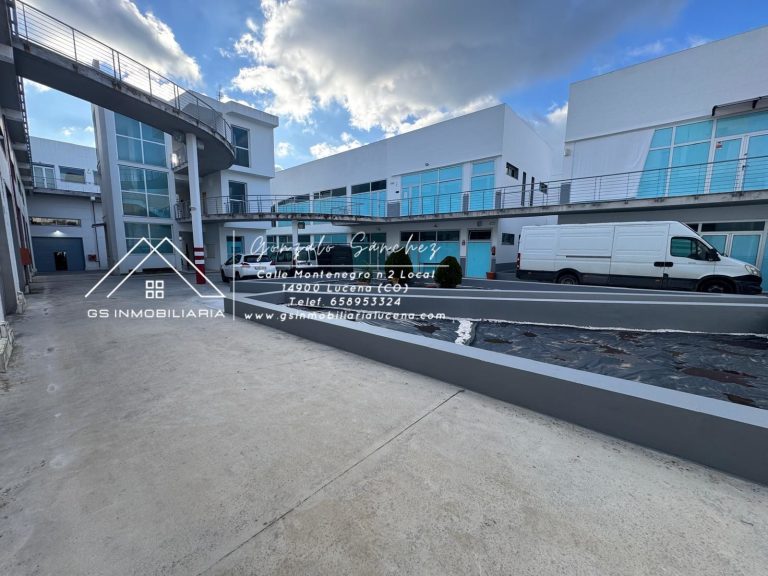 WhatsApp20Image202026-01-2020at2016.59.372028329