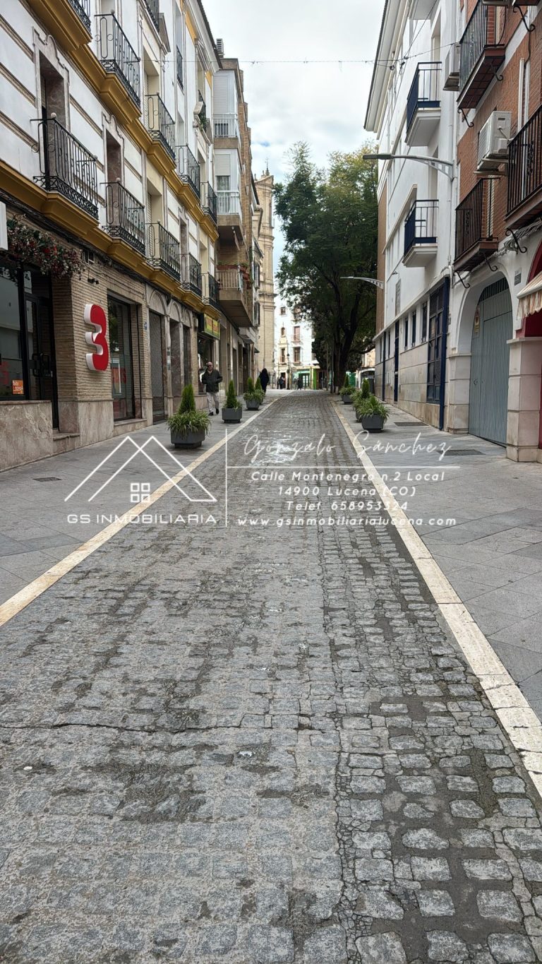 WhatsApp20Image202026-01-2220at2013.21.56