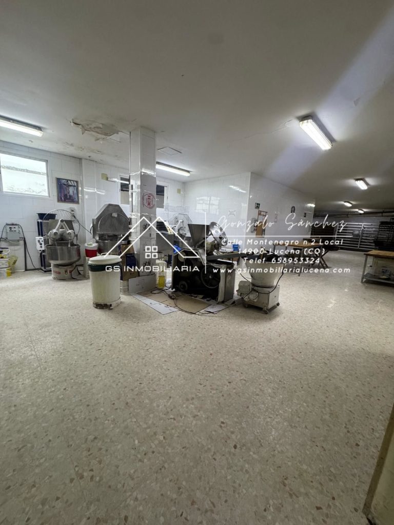 WhatsApp20Image202026-01-2220at2017.29.292028129