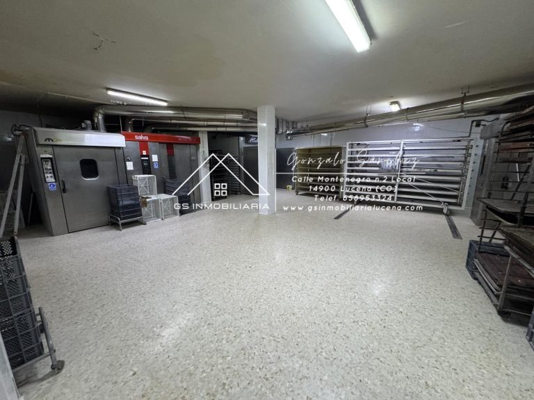 WhatsApp20Image202026-01-2220at2017.29.292028529