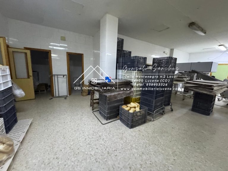 WhatsApp20Image202026-01-2220at2017.29.30