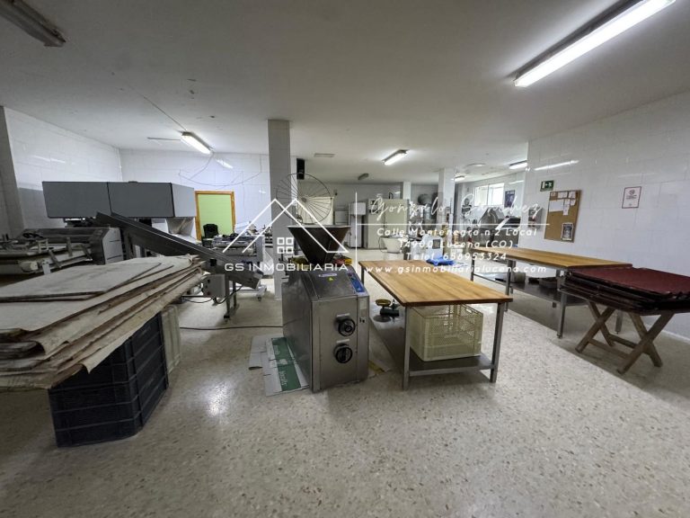 WhatsApp20Image202026-01-2220at2017.29.302028229