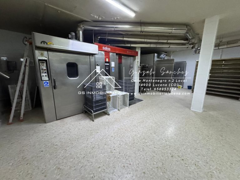 WhatsApp20Image202026-01-2220at2017.29.302028329