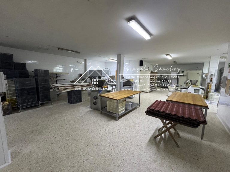 WhatsApp20Image202026-01-2220at2017.29.302028529