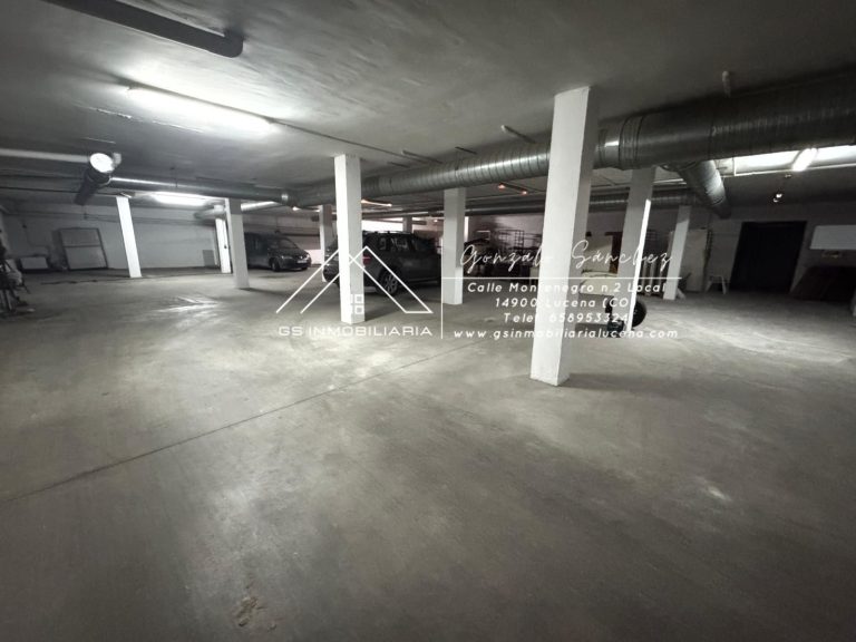 WhatsApp20Image202026-01-2220at2017.29.302028629