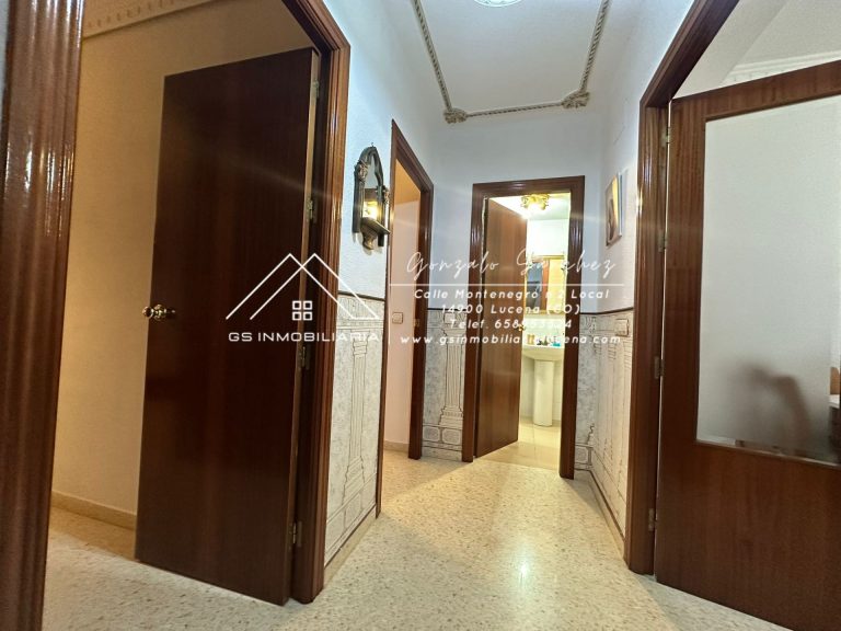 WhatsApp20Image202026-02-1120at2010.38.47