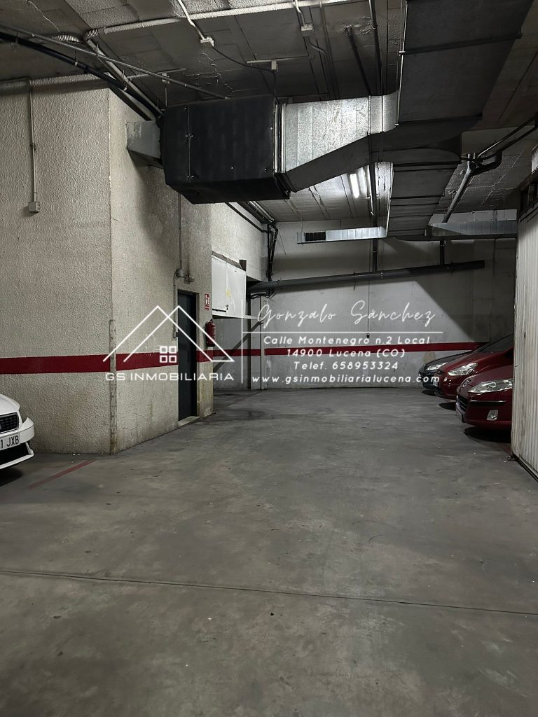 WhatsApp20Image202026-02-1120at2010.38.50