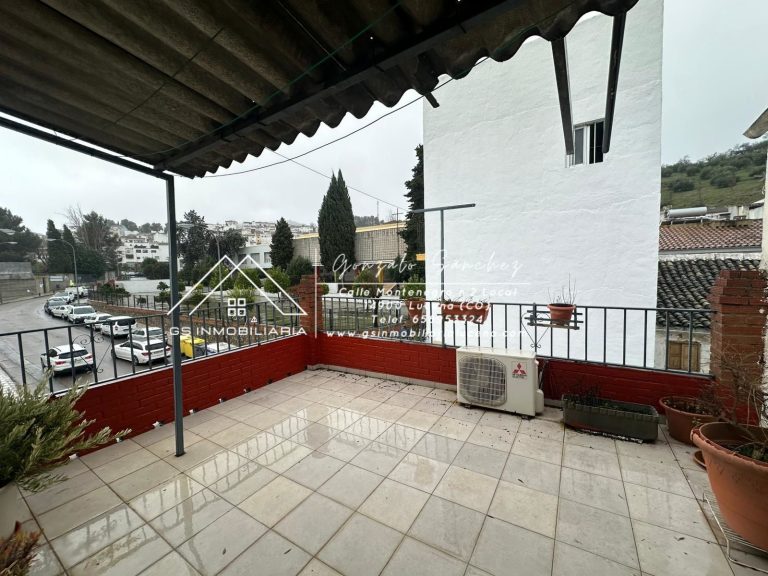 WhatsApp20Image202026-02-1120at2012.27.02