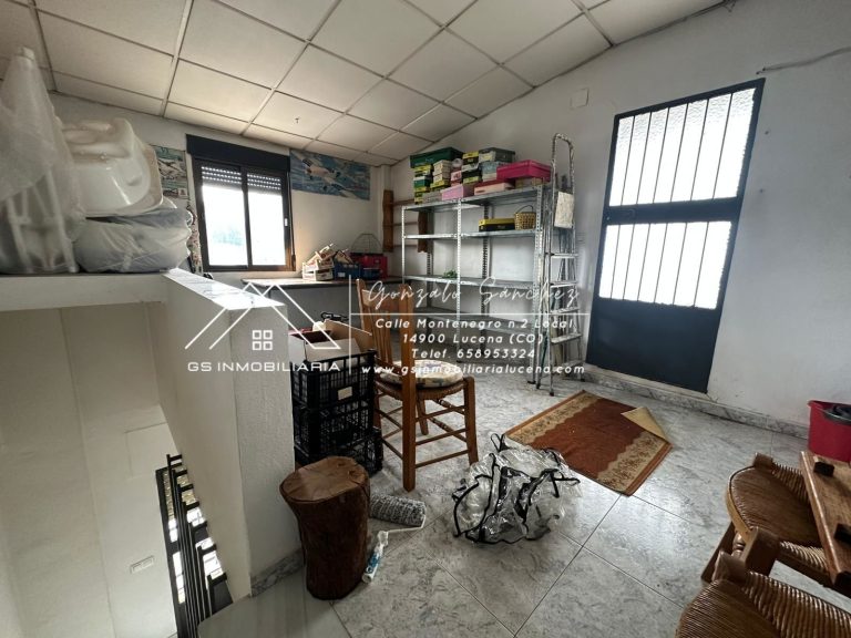 WhatsApp20Image202026-02-1120at2012.27.032028129