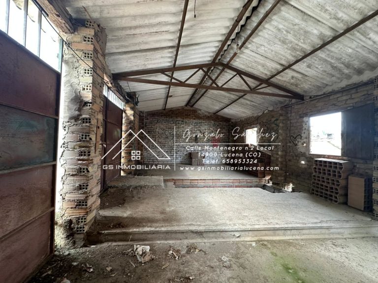 WhatsApp20Image202026-02-1120at2012.56.57