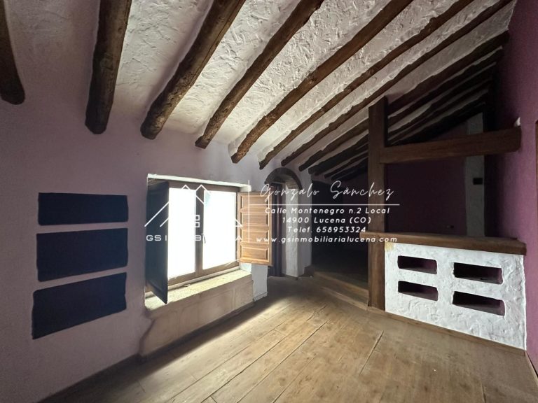 WhatsApp20Image202026-02-1120at2012.56.572028329