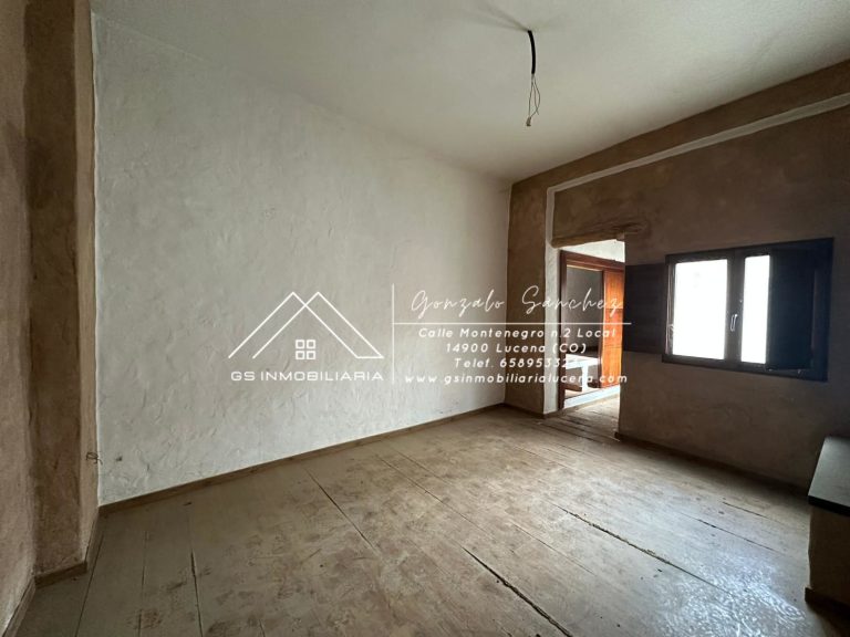 WhatsApp20Image202026-02-1120at2012.56.58