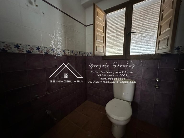 WhatsApp20Image202026-02-1120at2012.56.59