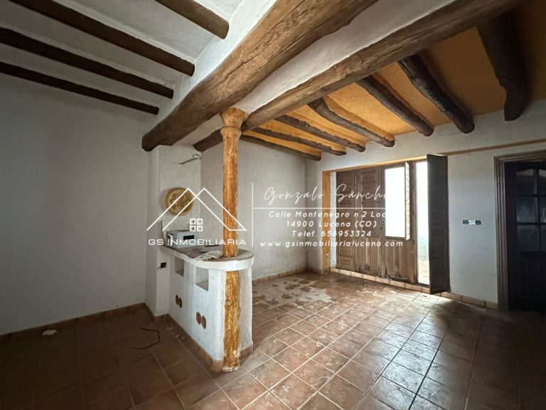 WhatsApp20Image202026-02-1120at2012.56.592028129