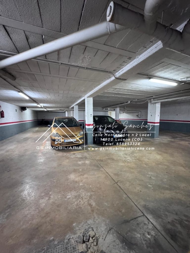 WhatsApp20Image202026-02-1220at2018.49.472028229