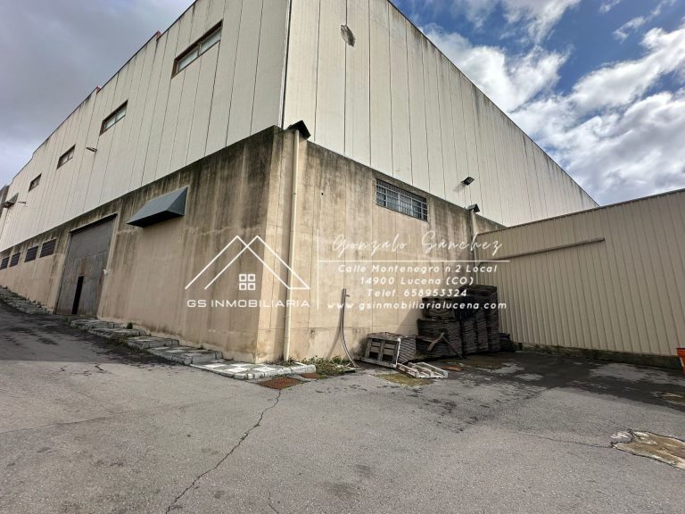 WhatsApp20Image202026-02-1320at2013.28.56