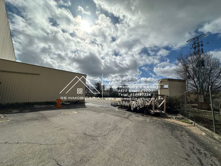 WhatsApp20Image202026-02-1320at2013.28.58